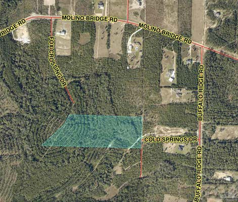 LOT 77 COLD SPRINGS DR, PACE, FL 32571, photo 5 of 17