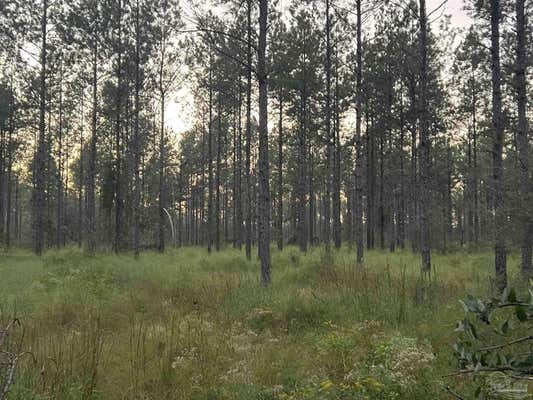 LOT 5 WALLACE LAKE RD, PACE, FL 32571 - Image 1