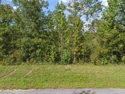 PARCEL 13 SID HAYES RD, JAY, FL 32565 - Image 1