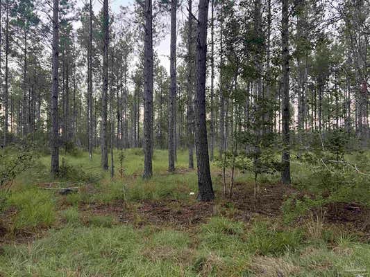 LOT 2 WALLACE LAKE RD, PACE, FL 32571 - Image 1