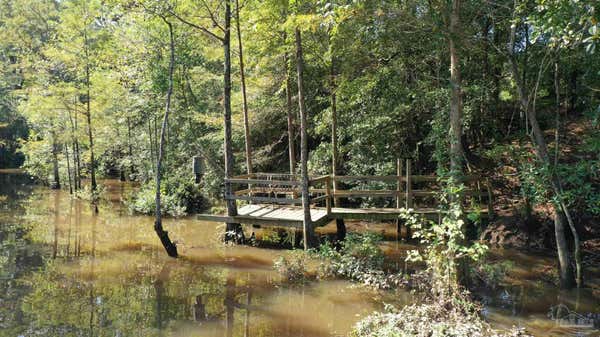 0 SAWMILL RD, LITTLE RIVER, AL 36550 - Image 1