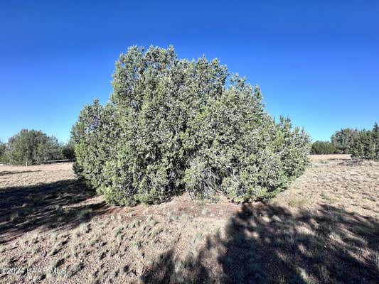 545A N SUMMER RAIN ROAD, SELIGMAN, AZ 86337 - Image 1