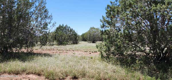 364 BIG VIEW, ASH FORK, AZ 86320 - Image 1