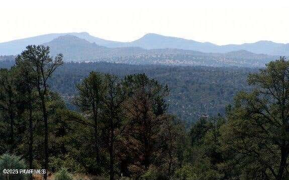 12830 N Spiral Dancer Trl  