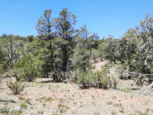 LOT 1404D BAD DOG RD, SELIGMAN, AZ 86337, photo 4 of 10