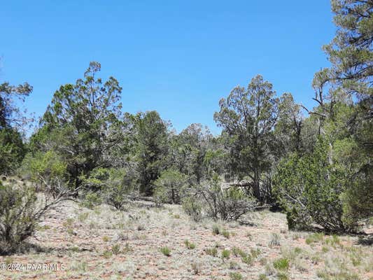 LOT 1404D BAD DOG RD, SELIGMAN, AZ 86337, photo 5 of 10