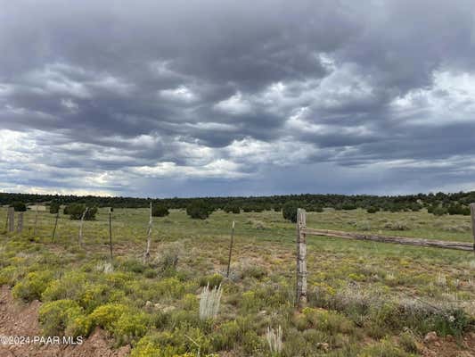 66225 N HYDE PARK RD, SELIGMAN, AZ 86337 - Image 1