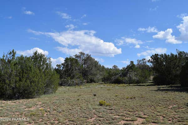 53570 VIA DE ORO PKWY, SELIGMAN, AZ 86337 - Image 1