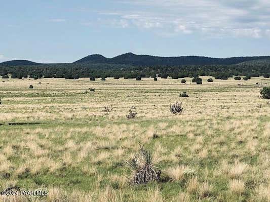 108-B BUCKING HORSE ROAD, SELIGMAN, AZ 86337 - Image 1