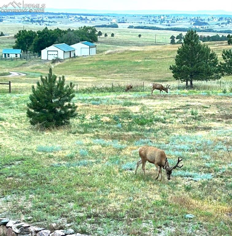 Peyton, Colorado, 80831, United States, 3 Bedrooms Bedrooms, ,3 BathroomsBathrooms,Residential,Active,1992209