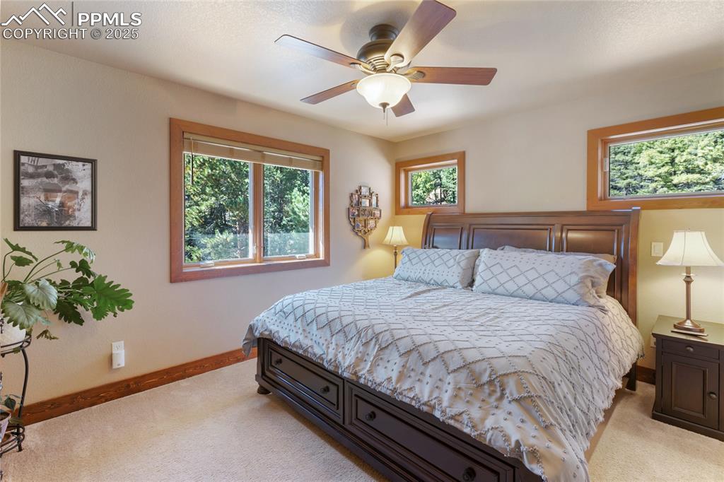 Florissant, Colorado, 80816, United States, 3 Bedrooms Bedrooms, ,3 BathroomsBathrooms,Residential,Active,1992212