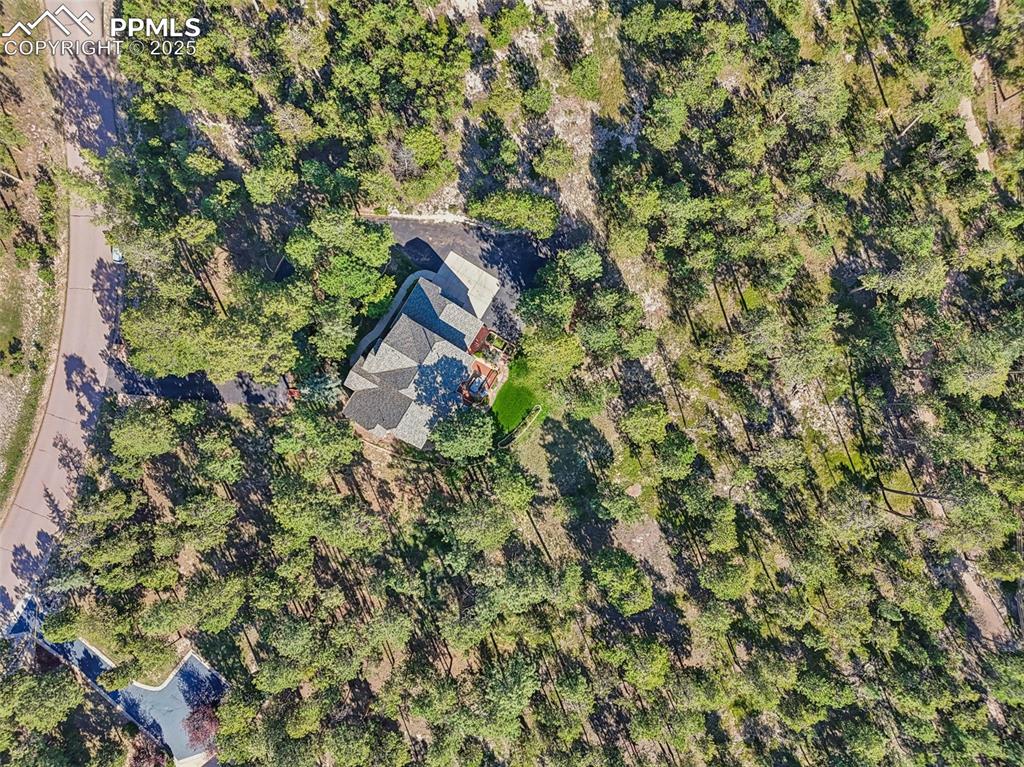 Monument, Colorado, 80132, United States, 5 Bedrooms Bedrooms, ,5 BathroomsBathrooms,Residential,Active,1953413