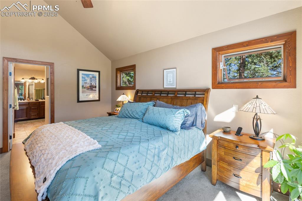 Florissant, Colorado, 80816, United States, 3 Bedrooms Bedrooms, ,3 BathroomsBathrooms,Residential,Active,1992212