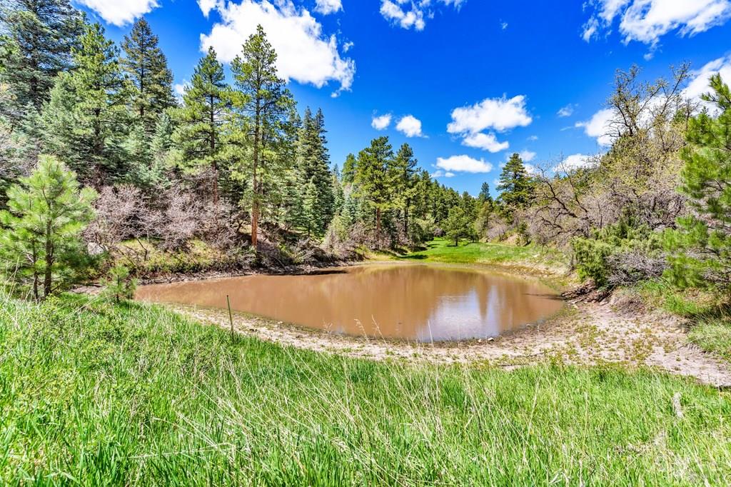 Rye, Colorado, 81069, United States, ,4 BathroomsBathrooms,Residential,Active,1824913