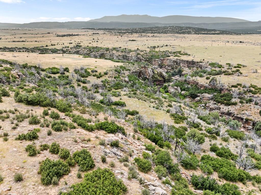 Beulah, Colorado, 81023, United States, 5 Bedrooms Bedrooms, ,5 BathroomsBathrooms,Residential,Active,2007123