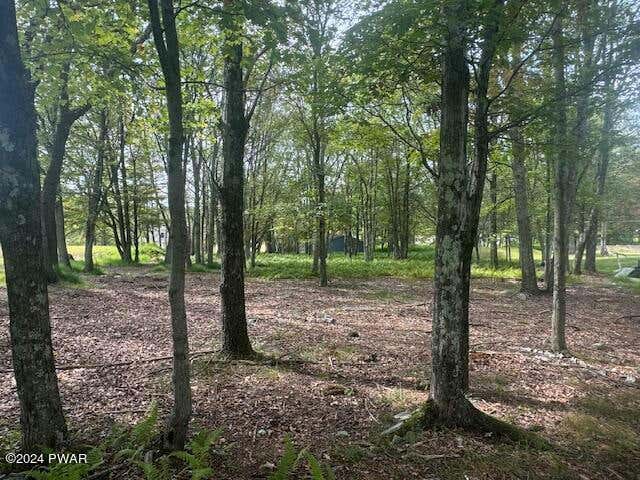 LOT 159 CRANBERRY DRIVE, BUSHKILL, PA 18324, photo 1 of 12