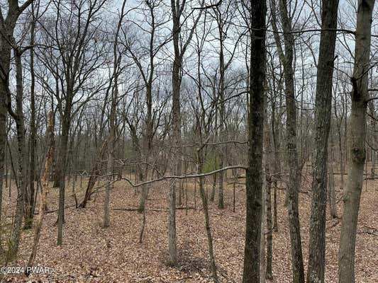 OAK RIDGE DRIVE, DINGMANS FERRY, PA 18328, photo 3 of 5