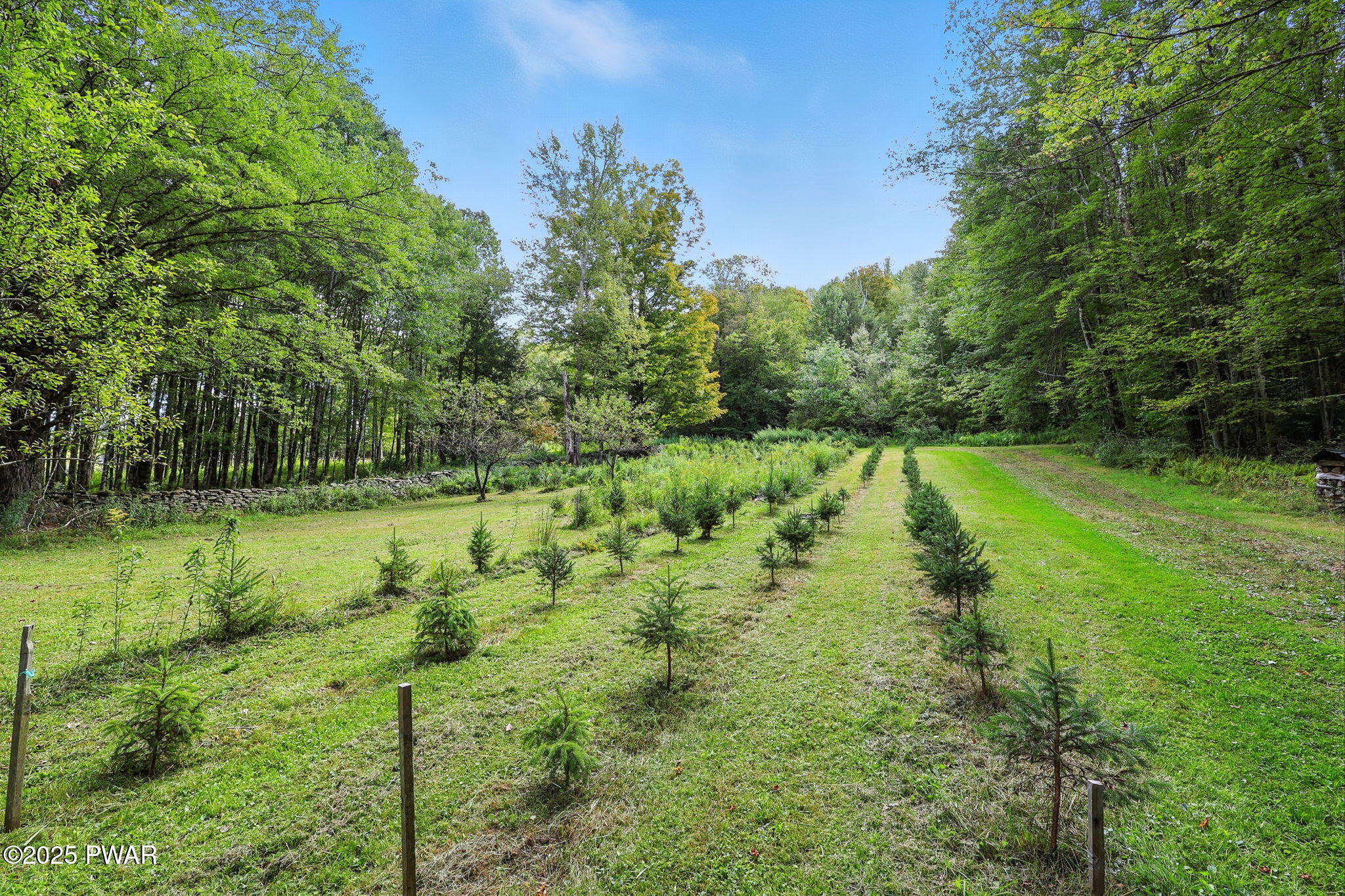 Forest City, Pennsylvania, 18421, United States, 6 Bedrooms Bedrooms, ,4 BathroomsBathrooms,Residential,Pending,1994968