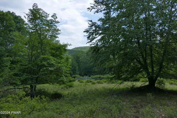 26 RIVER VIEW ACRES, LACKAWAXEN, PA 18435 - Image 1