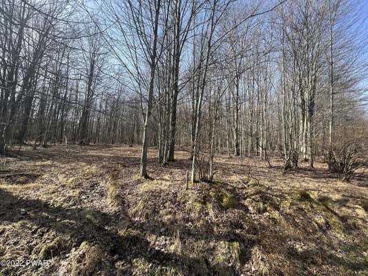 LOT 394 SNOWSHOE CIRCLE, LAKE ARIEL, PA 18436 - Image 1