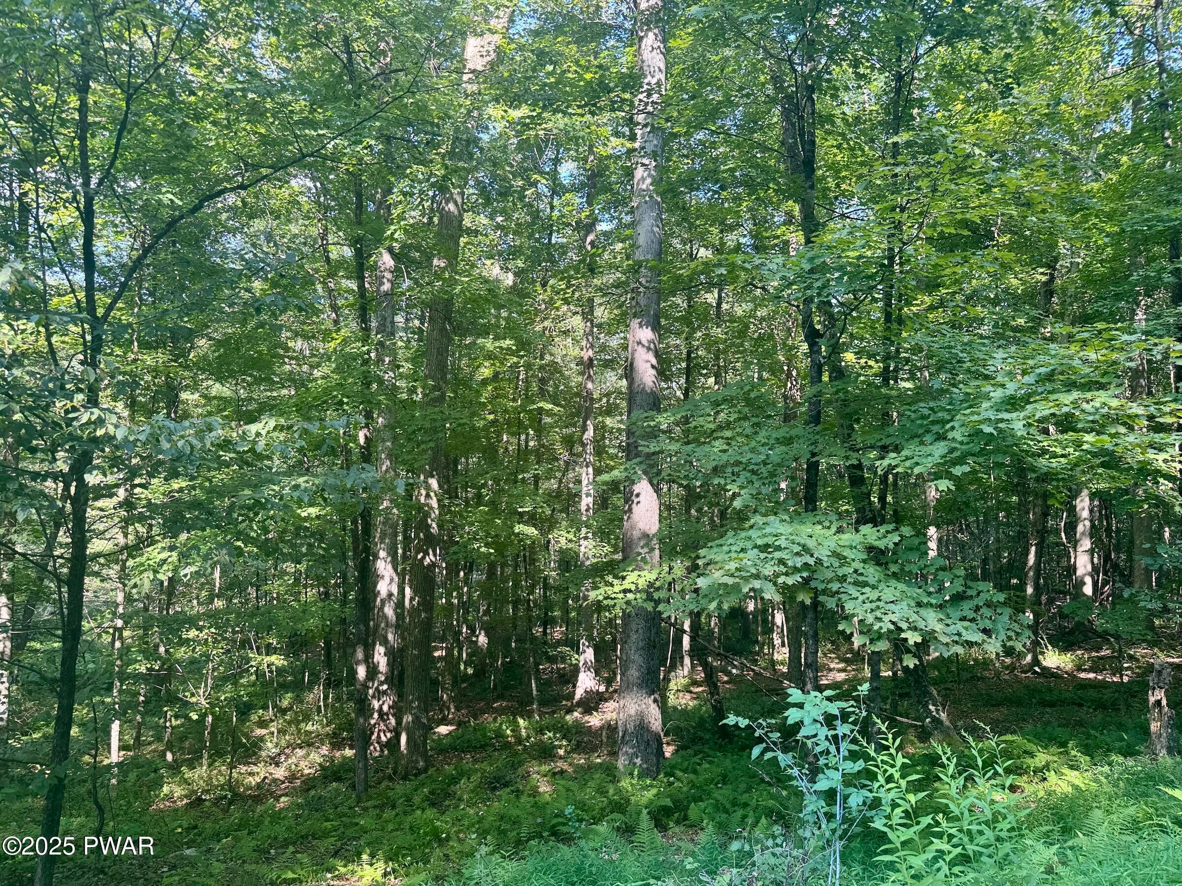 Equinunk, Pennsylvania, 18417, United States, 3 Bedrooms Bedrooms, ,3 BathroomsBathrooms,Residential,Active,1914829