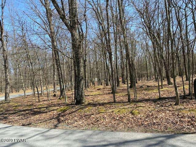 LOT 90 DEER TRAIL DRIVE, HAWLEY, PA 18428, photo 1 of 29