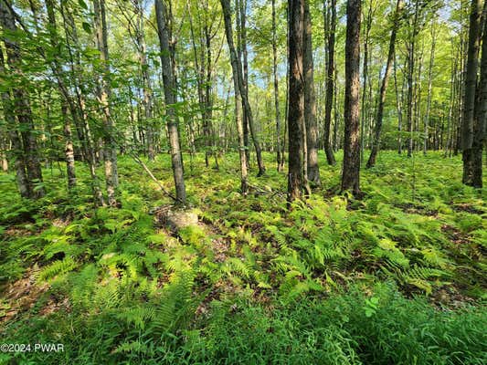 3.44 ACRES LEBA LANE, HONESDALE, PA 18431 - Image 1