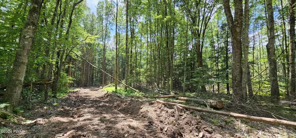 LOT 81.4 COUNTY ROUTE 114, COCHECTON, NY 12726 - Image 1