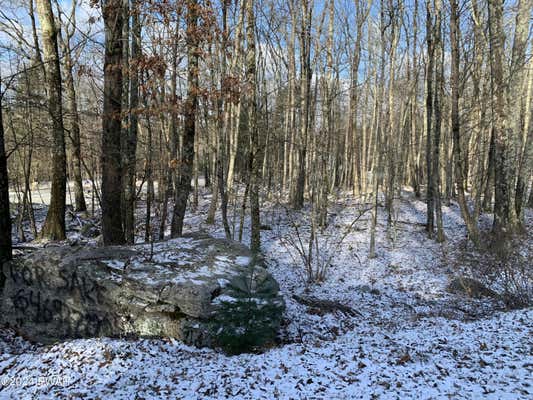 LOT 628 CATAMOUNT ROAD, HAWLEY, PA 18428, photo 2 of 3