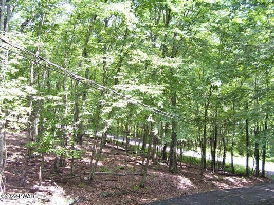 LOT 92 STONE DRIVE, HAWLEY, PA 18428, photo 3 of 8