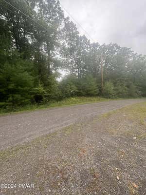 FOX RIDGE PARK DRIVE, LACKAWAXEN, PA 18425 - Image 1