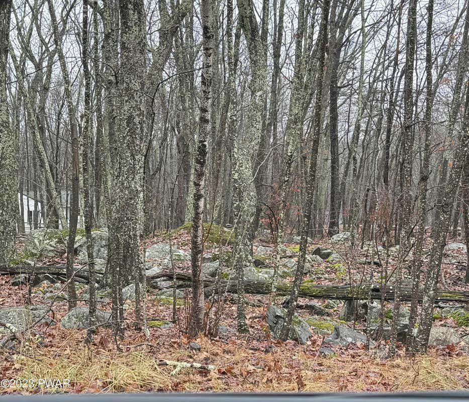 LOT 6 BLUESTONE DR., BLOOMING GROVE, PA 18428, photo 1 of 2