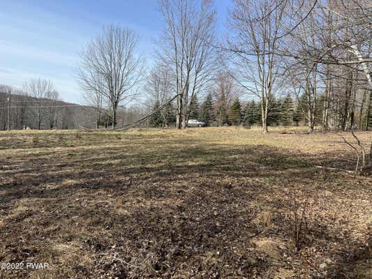 LOT 701 BLACK BEAR ROAD, LAKE ARIEL, PA 18436 - Image 1