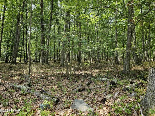 LOT 20 COVE POINT CIRCLE, LAKEVILLE, PA 18438 - Image 1