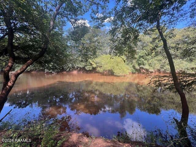 TBD 16.7 ACRES IN S66, T4S, R4E ROAD, WASHINGTON, LA 70589, photo 1 of 4