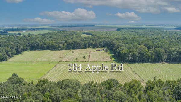 284 APPLE RD, OPELOUSAS, LA 70570 - Image 1