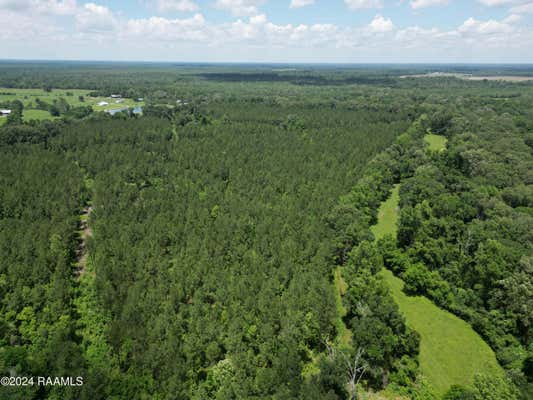 HERBERT ORTEGO ROAD, WASHINGTON, LA 70589 - Image 1