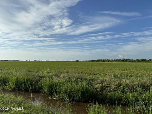 SALTZMAN ROAD, GUEYDAN, LA 70542 - Image 1