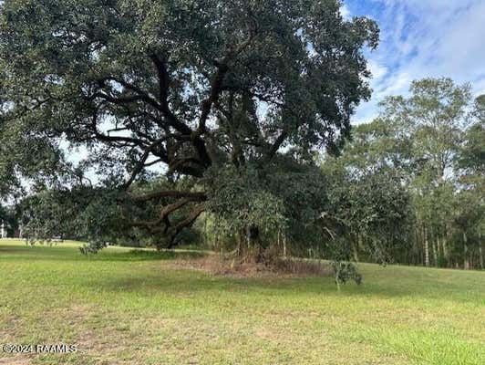 TBD MAIN HIGHWAY, ARNAUDVILLE, LA 70512 - Image 1