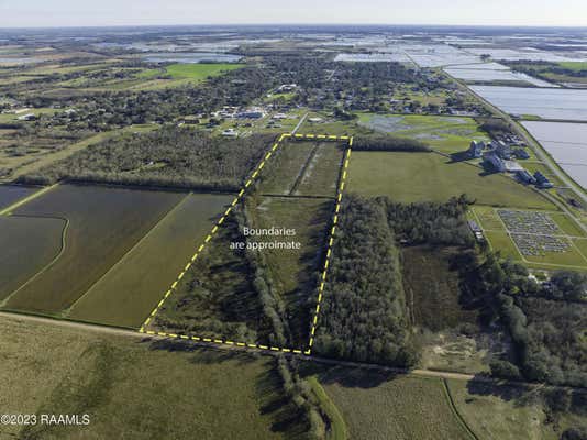 TBD GAHN ROAD, MAMOU, LA 70554 - Image 1