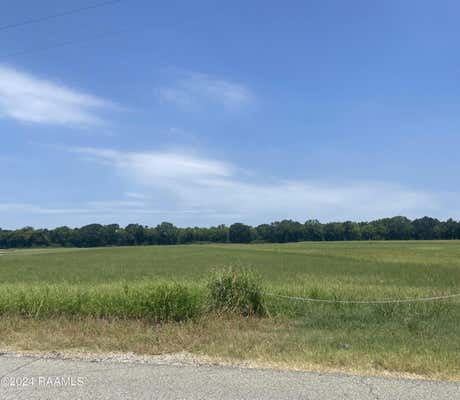 B8 CECIL WATKINS ROAD, ARNAUDVILLE, LA 70512 - Image 1