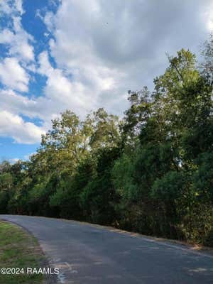 TBD FUSELIER ROAD ROAD, ARNAUDVILLE, LA 70512 - Image 1