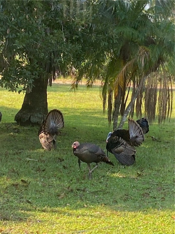 Fellsmere, Florida, 32948, United States, 3 Bedrooms Bedrooms, ,2 BathroomsBathrooms,Residential,Active,1908152