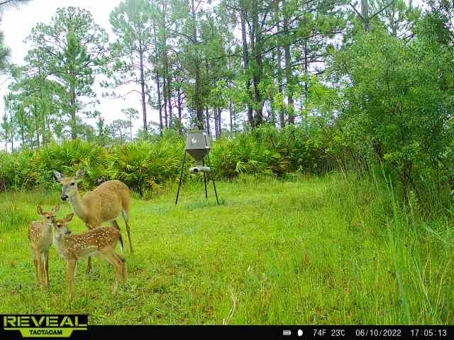 Fellsmere, Florida, 32948, United States, 3 Bedrooms Bedrooms, ,2 BathroomsBathrooms,Residential,Active,1908152