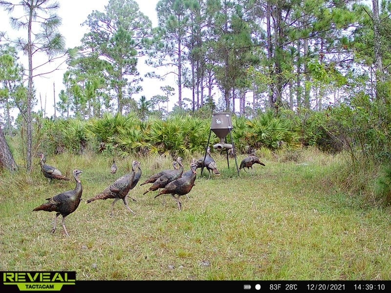 Fellsmere, Florida, 32948, United States, 3 Bedrooms Bedrooms, ,2 BathroomsBathrooms,Residential,Active,1908152