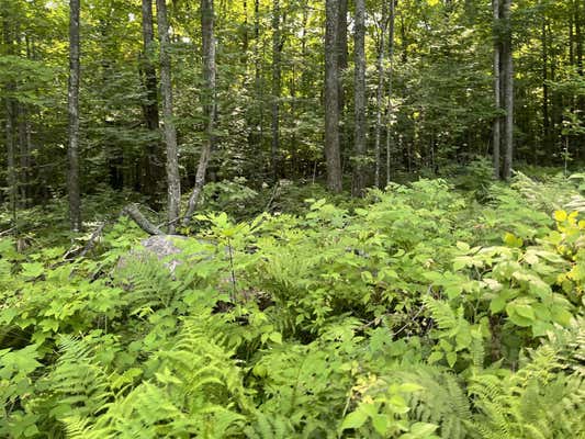 RANGE LINE LAKE, WABENO, WI 54566, photo 2 of 10