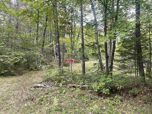 N18267 WOODLAND LN, DUNBAR, WI 54119 - Image 1