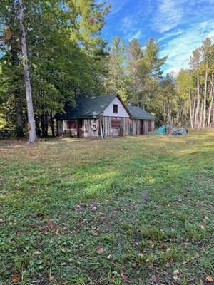 N10500 SCHUSTER LANE, CEDAR RIVER, MI 49887 - Image 1