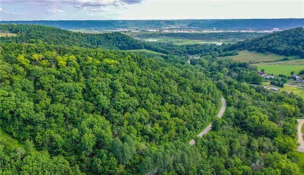 TBD CHICKEN VALLEY ROAD, FOUNTAIN CITY, WI 54629 - Image 1