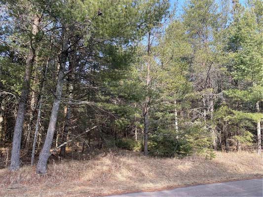 LOT 7 N RIVERSIDE ROAD, CABLE, WI 54821 - Image 1